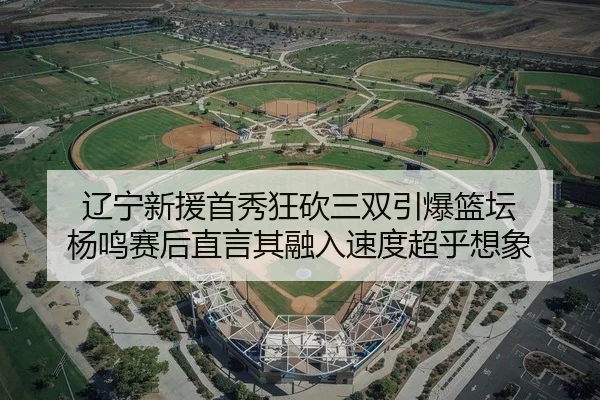辽宁新援首秀狂砍三双引爆篮坛 杨鸣赛后直言其融入速度超乎想象